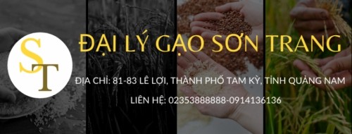 3 đại lý bán gạo uy tín, chất lượng nhất tỉnh quảng nam