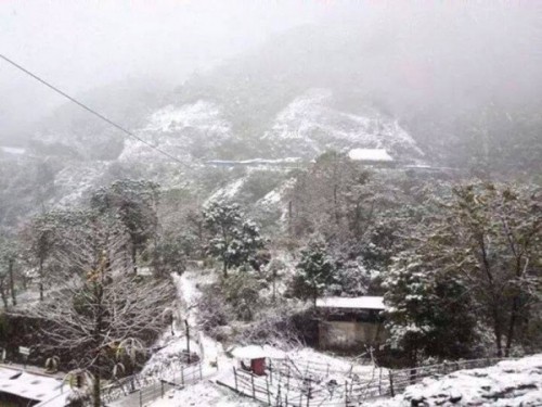5 địa điểm bạn có thể ngắm tuyết rơi đẹp nhất ở Việt Nam