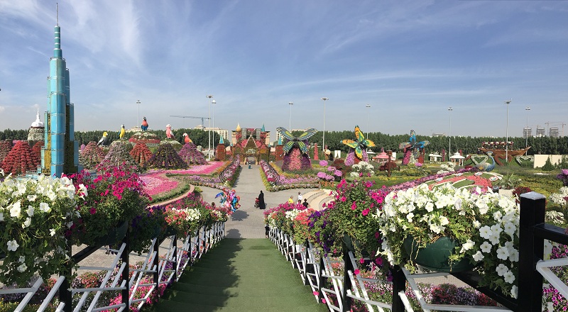 du lịch dubai, điểm đến, vườn hoa dubai, kỳ diệu vườn hoa lớn nhất thế giới ngay giữa sa mạc