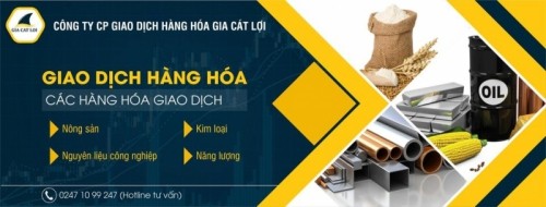 8 công ty tư vấn giao dịch hàng hóa phái sinh uy tín nhất Việt Nam