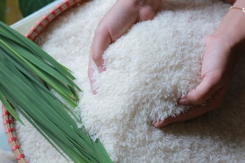5 Đại lý bán gạo uy tín, chất lượng nhất tỉnh Bình Định