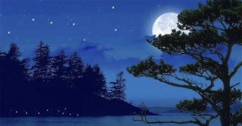 13 bài văn tả một đêm trăng đẹp hay nhất