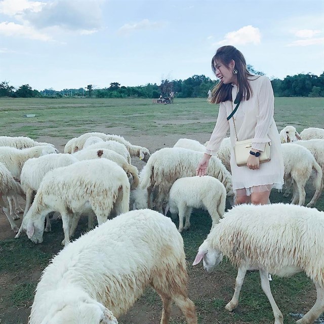 3 cánh đồng cừu dành cho bạn trẻ Sài Gòn nghiện chụp choẹt