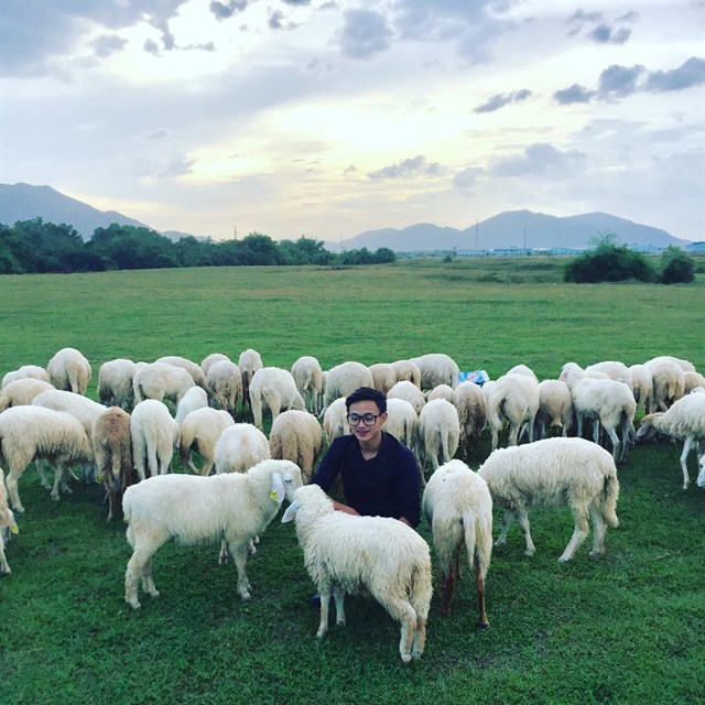 du lịch đồng nai, đồng cừu, 3 cánh đồng cừu dành cho bạn trẻ sài gòn nghiện chụp choẹt