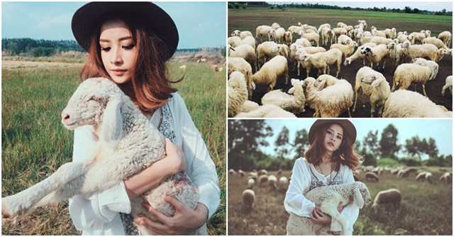 du lịch đồng nai, đồng cừu, 3 cánh đồng cừu dành cho bạn trẻ sài gòn nghiện chụp choẹt