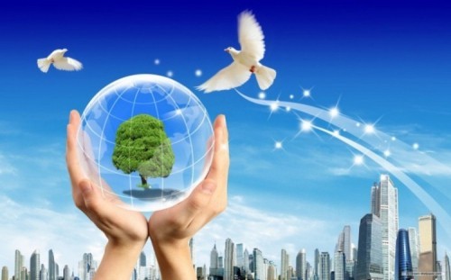 10 dịch vụ tư vấn môi trường chuyên nghiệp tại Hà Nội