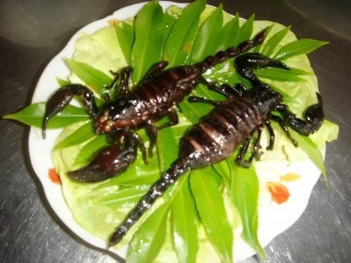 10 món ăn côn trùng nổi tiếng kinh dị trên thế giới