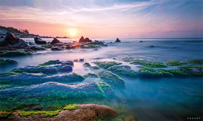 điểm đến, rêu biển, mùa rêu đá đang hiện lên đẹp đến nghẹt thở