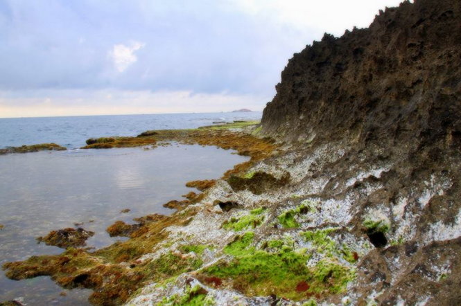 điểm đến, rêu biển, mùa rêu đá đang hiện lên đẹp đến nghẹt thở