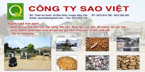 4 Đại lý bán gạo uy tín, chất lượng nhất tại tỉnh Tuyên Quang