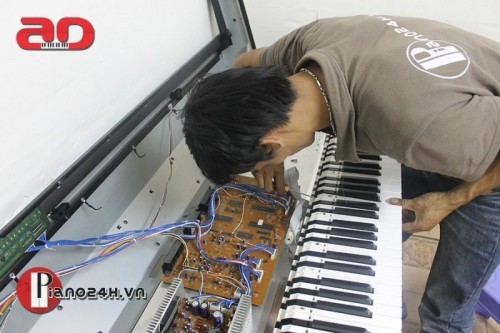 6 địa chỉ sửa đàn piano uy tín ở hà nội