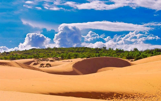 Khám phá vẻ đẹp khó cưỡng của đồi cát trong chuyến du lịch Mũi Né Phan Thiết