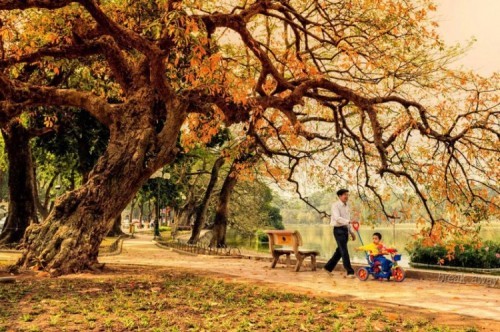 14 bài thơ hay viết về mùa thu hà nội