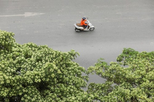 14 bài thơ hay viết về mùa thu hà nội