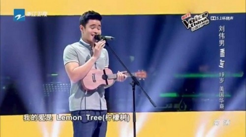 15 phần thi ấn tượng nhất tại vòng giấu mặt the voice trung quốc