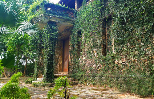 Jungle House – ngôi nhà cổ tích ở Từ Sơn, Bắc Ninh