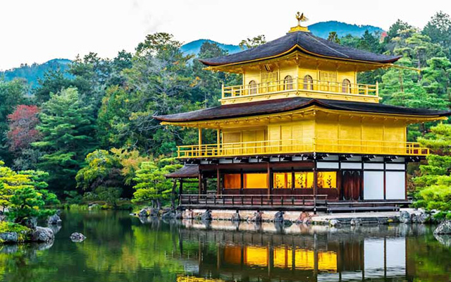 chùa vàng kinkakuji - biểu tượng của cố đô kyoto, nhật bản