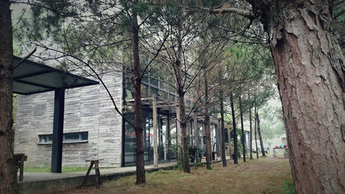 Hidden Villa – ngôi nhà giữa rừng thông ở Sóc Sơn