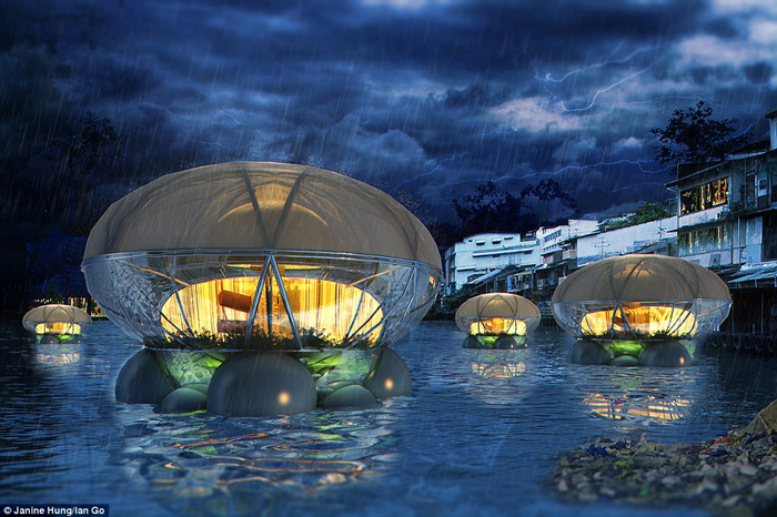 Khách sạn sứa khổng lồ thân thiện với môi trường