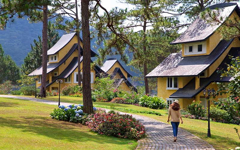 du lịch, top 10 resort đà lạt giá rẻ view rừng thông “đẹp như mơ”