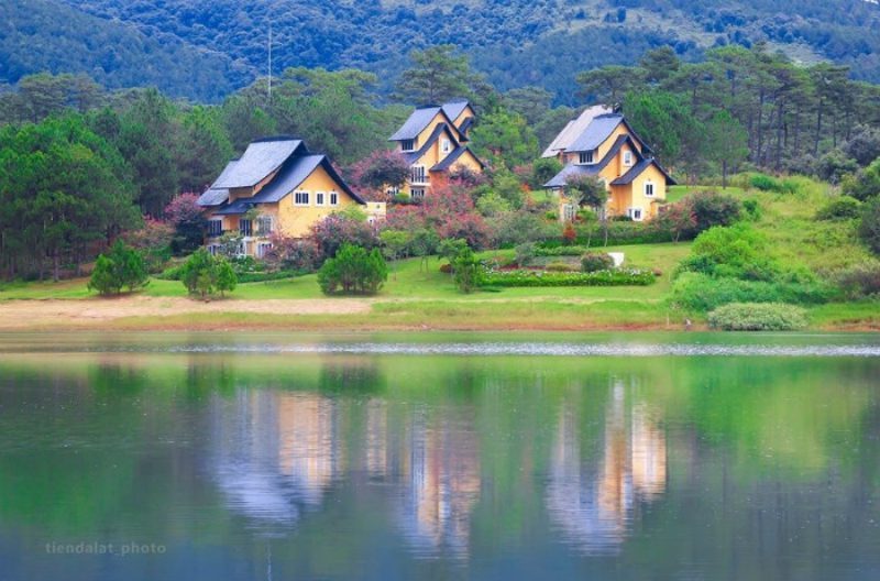 du lịch, top 10 resort đà lạt đẹp giá rẻ gần trung tâm view rừng thông xanh