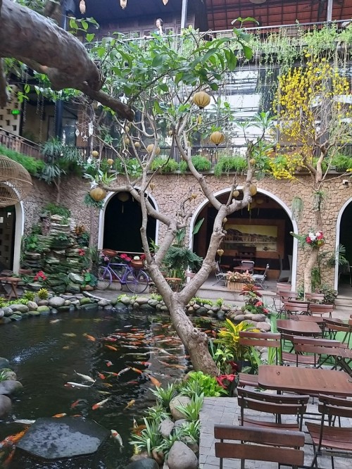 7 quán cà phê sân vườn đẹp nhất tỉnh quảng ngãi
