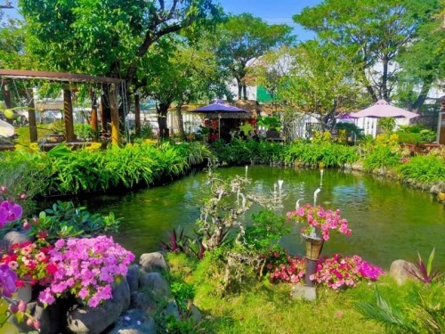 7 quán cà phê sân vườn đẹp nhất tỉnh quảng ngãi