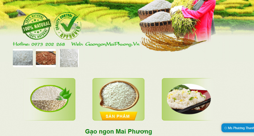 ẩm thực, hà nội, top 7 địa điểm đại lý gạo hà nội đảm bảo thơm ngon, chất lượng