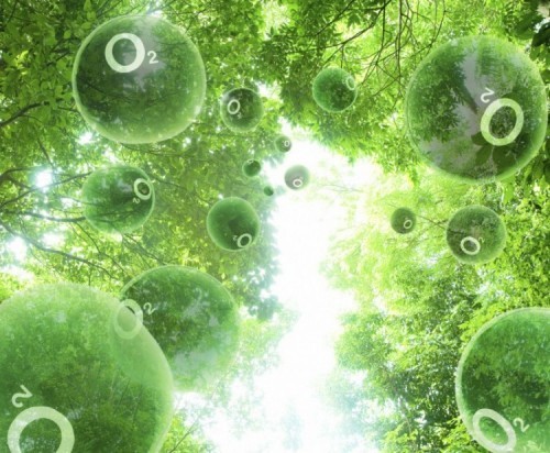amazon,  10 điều thú vị nhất trong thế giới tự nhiên