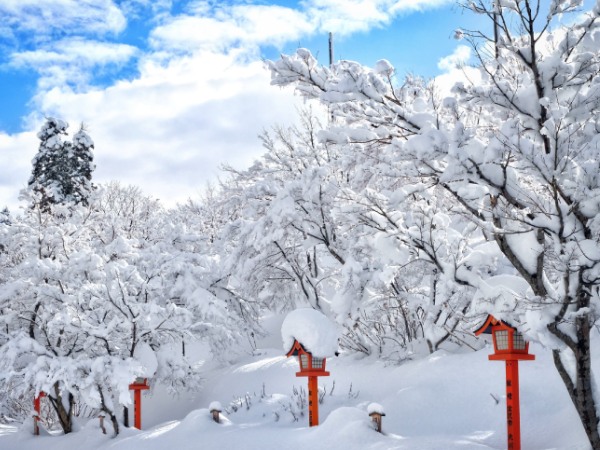 Chiêm ngưỡng Hokkaido vào Đông - nơi đẹp nhất Nhật Bản