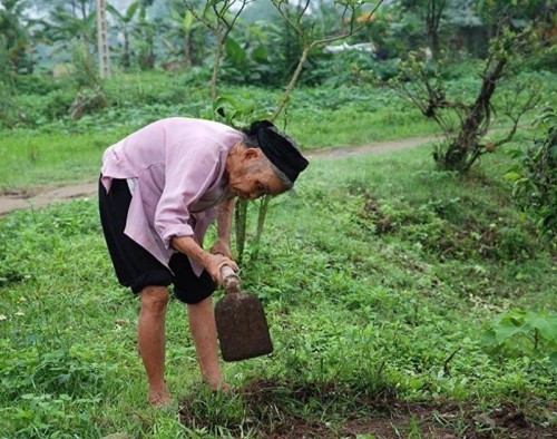 12 bài thơ lục bát hay về cha mẹ