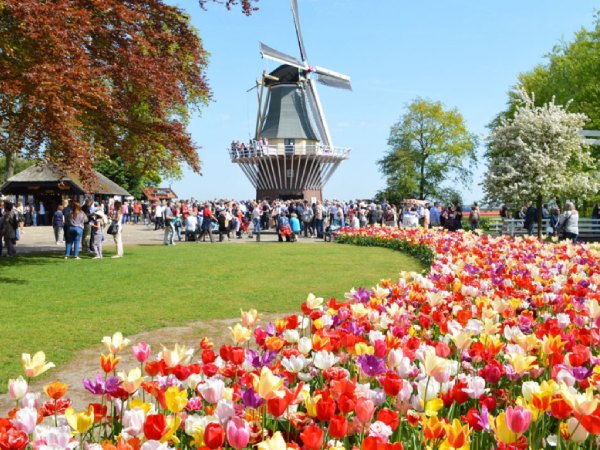 Du lịch châu Âu: Văn hóa xứ sở Tulip Hà Lan có gì đặc biệt?
