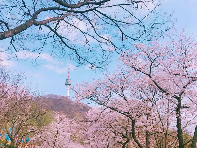 06 địa điểm du lịch Hàn Quốc tuyệt đẹp khi tiết trời vào Xuân