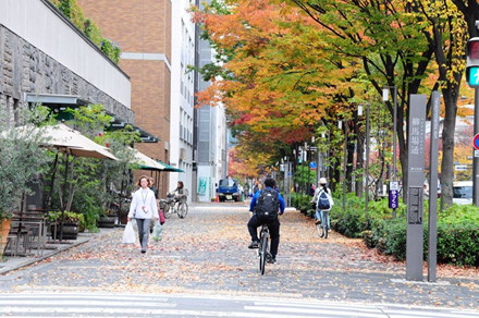 Đạp xe vòng quanh Kyoto trong mùa thu lá vàng lá đỏ đẹp mê hồn