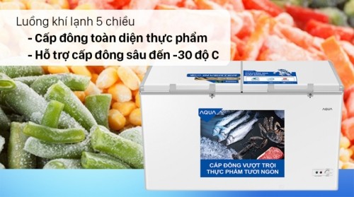 10 tủ đông chất lượng và được ưa thích nhất hiện nay