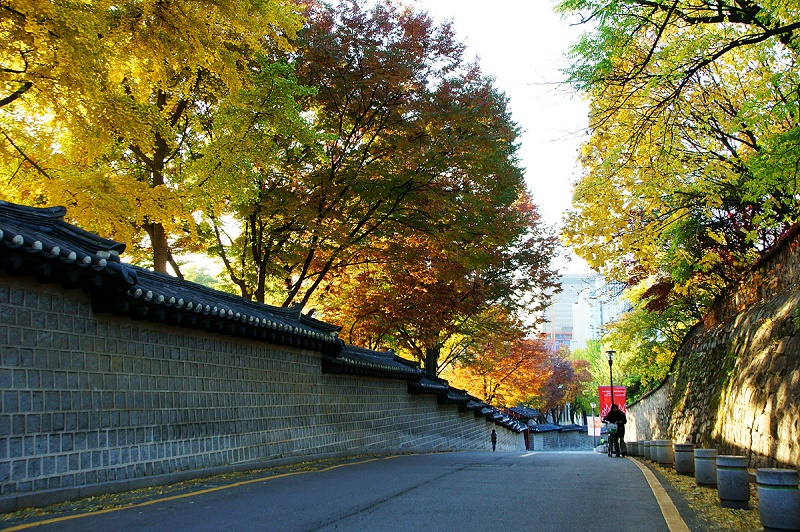 Du lịch Hàn Quốc - Lạc bước trên con đường lãng mạn nhất Seoul