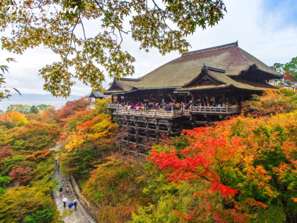 Du lịch Nhật Bản mùa nào lý tưởng nhất trong năm?