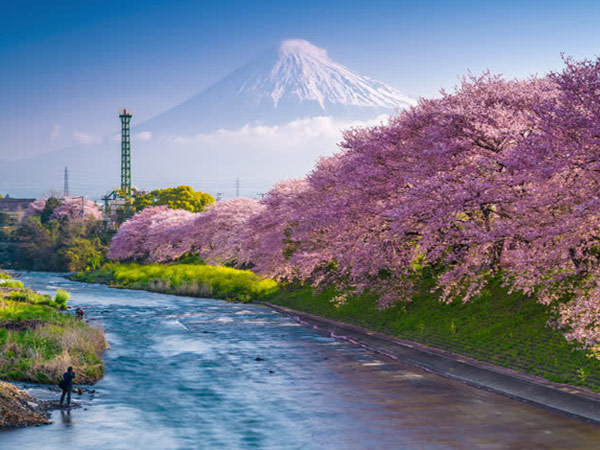 06 điểm du lịch Nhật Bản sôi động đành cho dân mê phượt