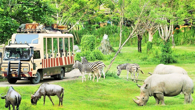 đến quy nhơn ghé thăm công viên hoang dã flc zoo safari park