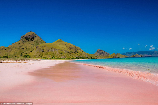 Độc đáo những bãi biển hồng