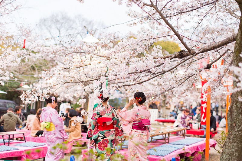 du lịch nhật bản mùa hoa anh đào: khám phá thủ đô tokyo