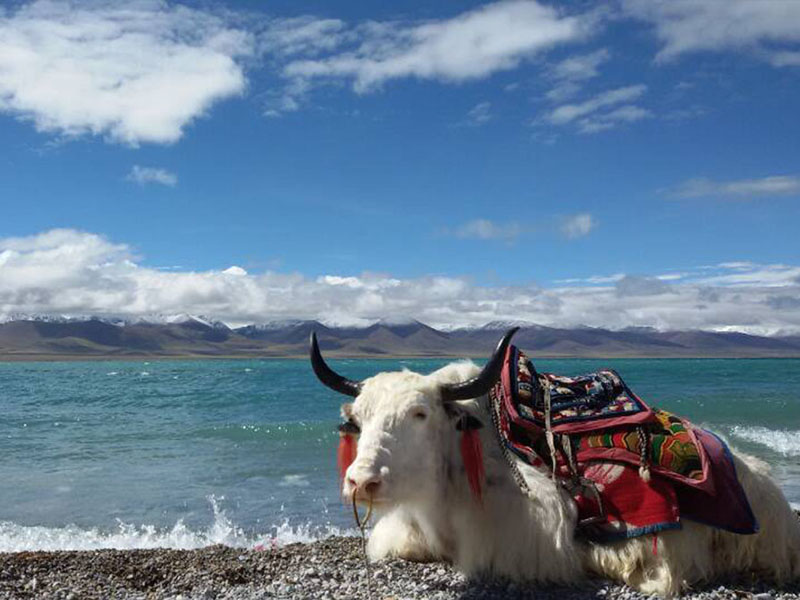 du lịch tây tạng nên chụp ảnh ở đâu?