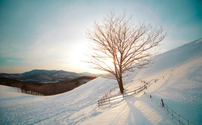 10 địa điểm du lịch hàn quốc vào mùa đông lý tưởng