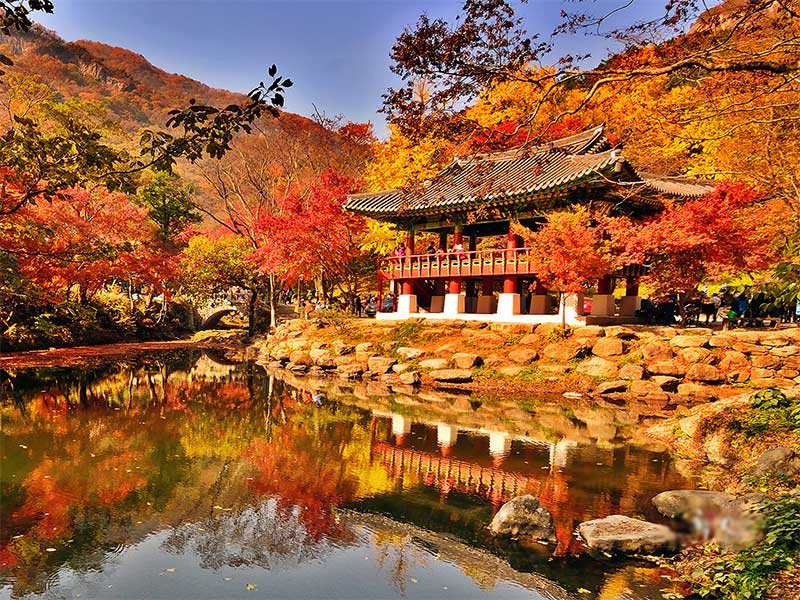 Du lịch Đài Loan mùa thu có điều gì đặc biệt?