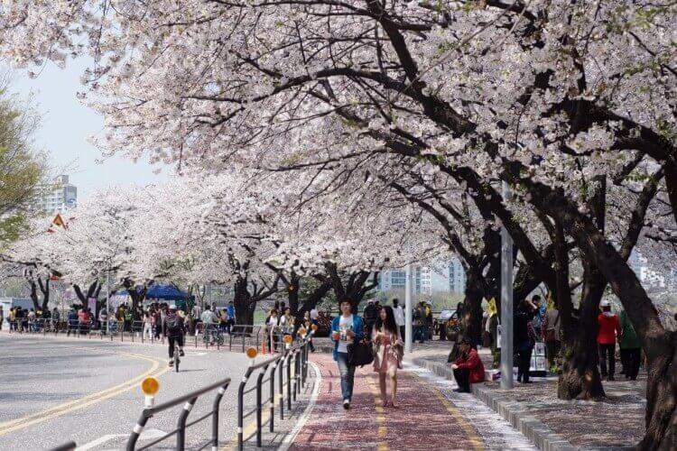 10 điểm check in siêu đẹp ở Hàn Quốc khi mùa Thu về