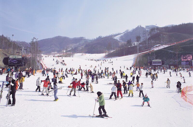 Bạn biết gì về Everland - Công viên giải trí hàng đầu Hàn Quốc?