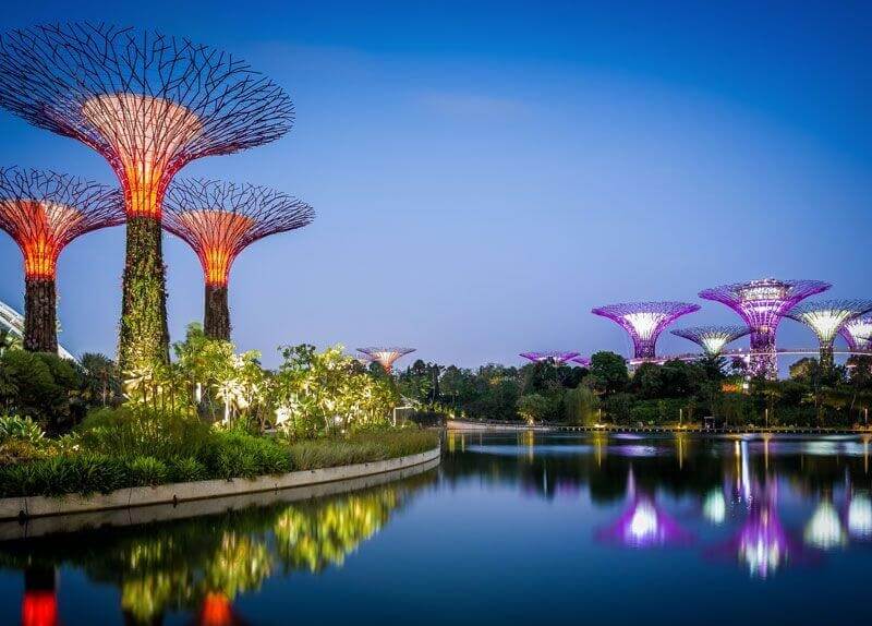 Tung hoành Gardens by the Bay khi du lịch Singapore
