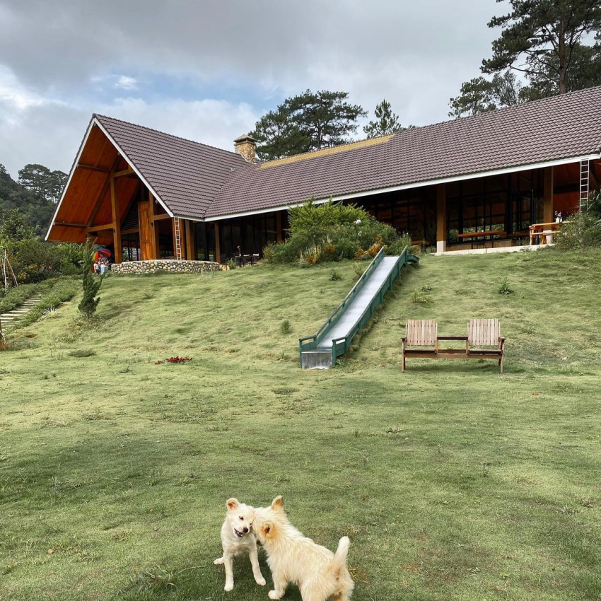 beautiful resort in da lat, lat valley, tang thanh ha, visit dalat, lat valley, ‘fairy village’ ha tang took his parents on a private outing in da lat