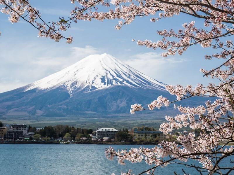 Thích du lịch Nhật Bản vì những điểm đến thanh bình đến lạ!