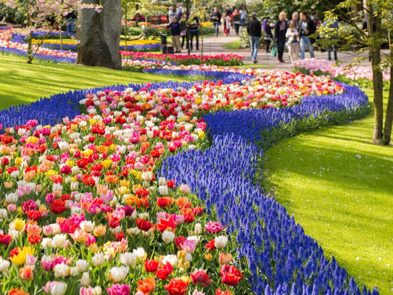 Du lịch Hà Lan nên tham quan những vườn hoa nào?